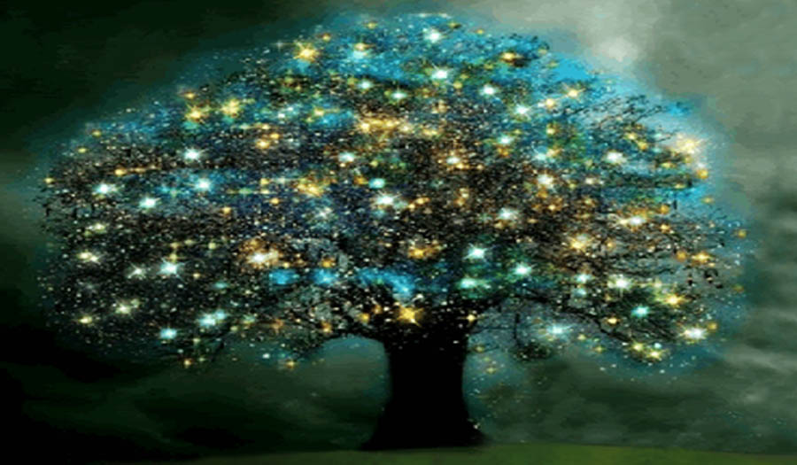 Гадание онлайн "Дерево Желаний"